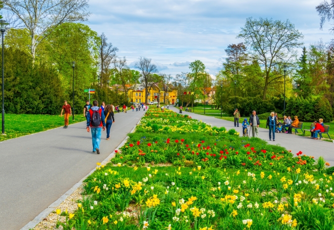 Uděláme z Olomouce znovu město květin