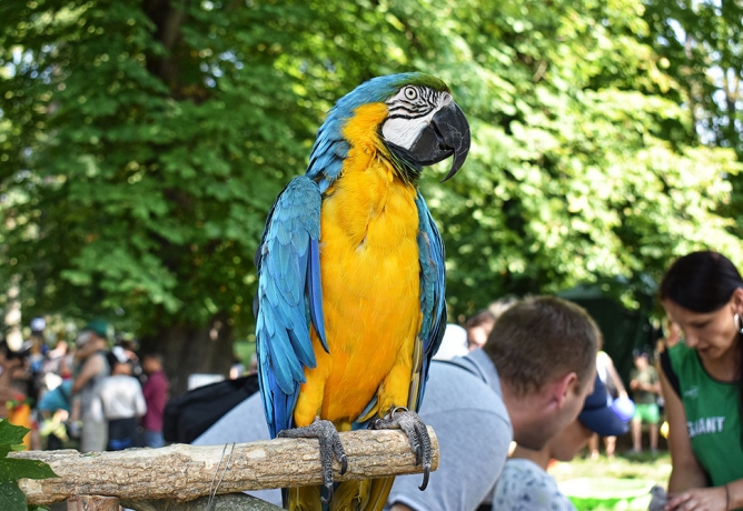 Fotogalerie: Velký dětský den Park zvířat